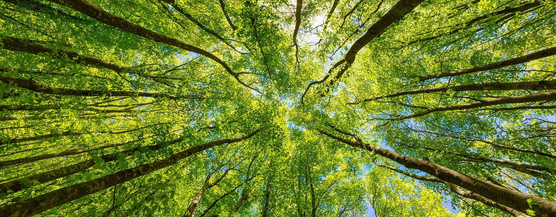 AdobeStock 219848647